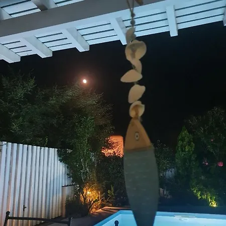 Nafsika Paros Logaras